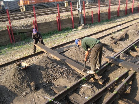 "My, that's a long one you have there!"