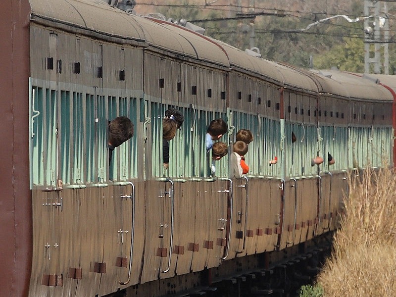 K R Wilson-Smith 27/07/08