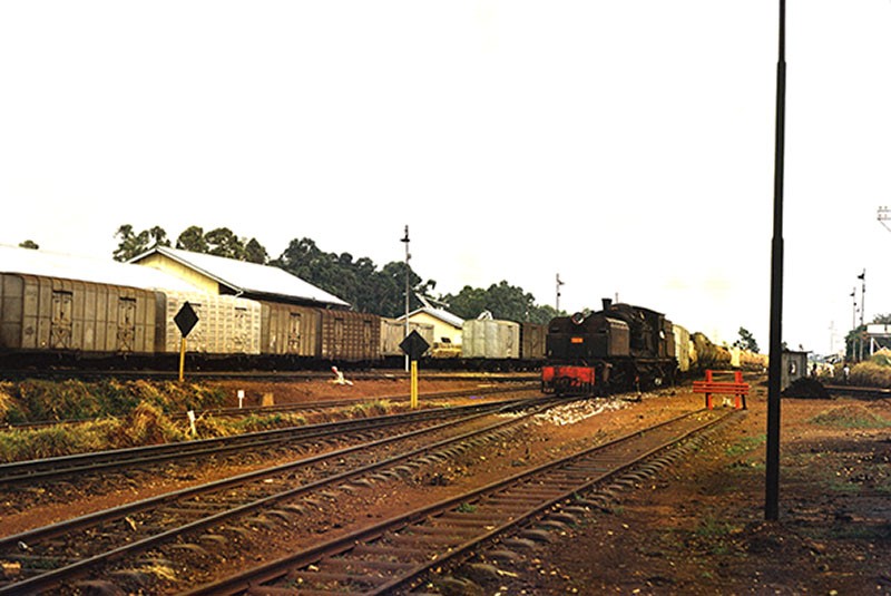 Jinja. EAR&H #5505  with freight..jpg