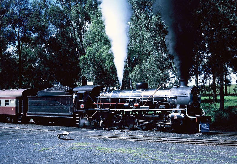 Photo - Adelbert Stigling - Bityi