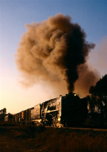 fotr003 (Medium).jpg