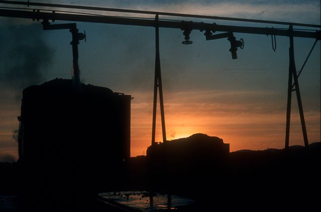Photo by Nathan Berelowitz 1980s