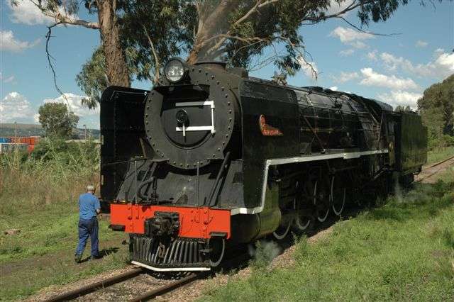 Peacefully resting in the shade, 3117 has been moved up and down the tracks adjacent to the coal stage, for loosening up trials. The lubricator has been set quite fast, and now its time for the motion to get the potion!