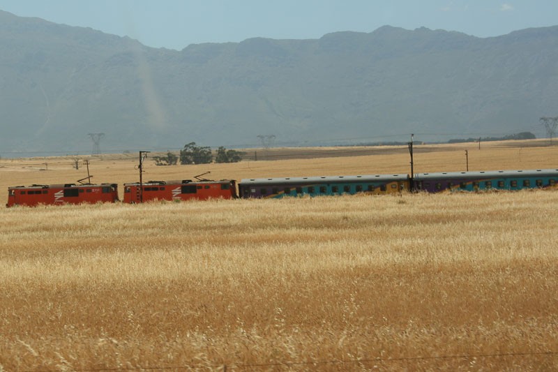 The sitter Shozaloza snakes through the wheat fields near Soetandal