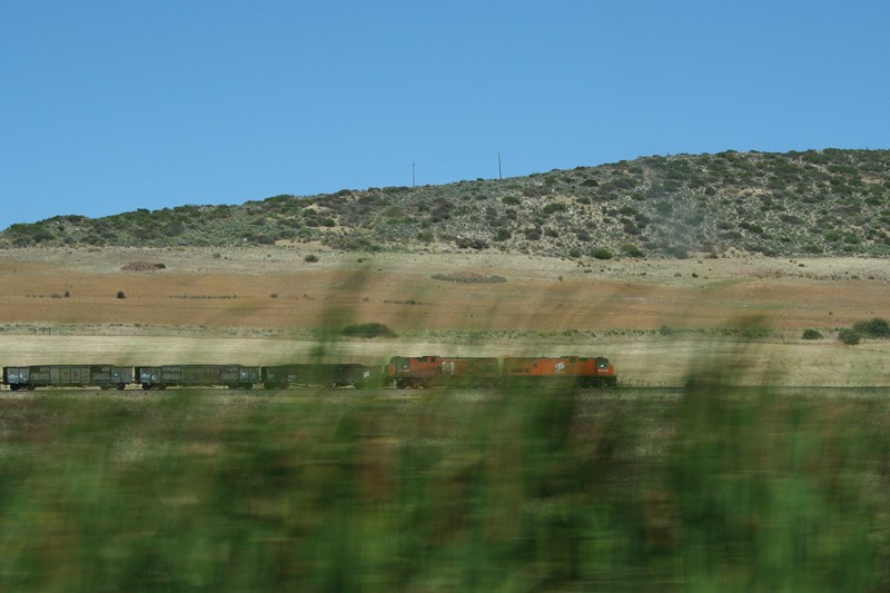 IMG_4225.JPG