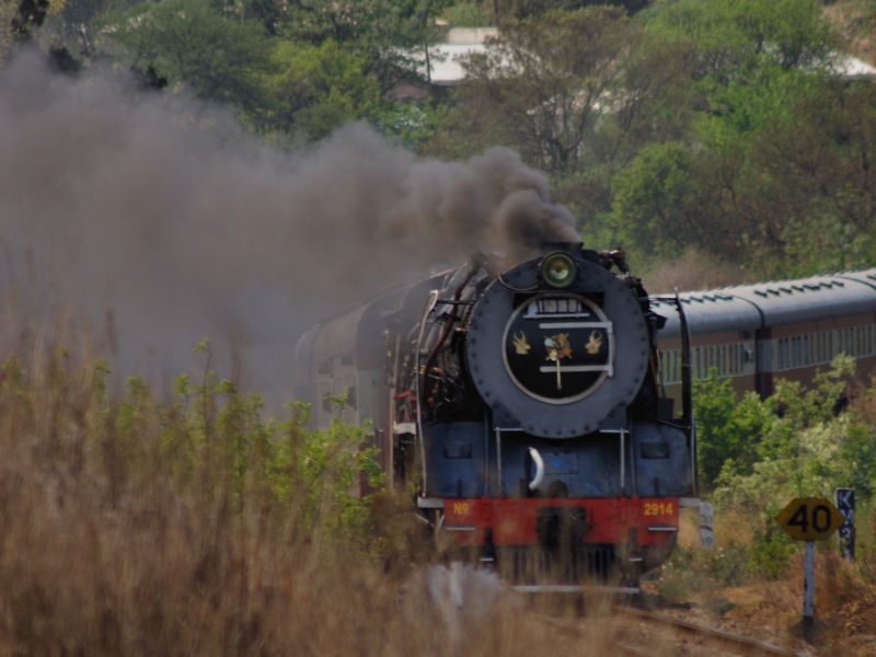 Much effort - photo by L Geldenhuys 24/09/2007