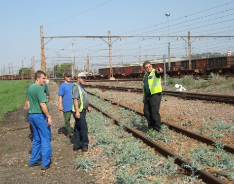 Gabor points out an interesting feature while Steve, Nathan, John A and Uncle John (hidden behind Steve) look on<br /><br />Photo by Tom Macrery 13/10/07
