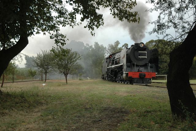 Picture postcard setting. 15F 3117 at the ashpit line in Capital Park shed
