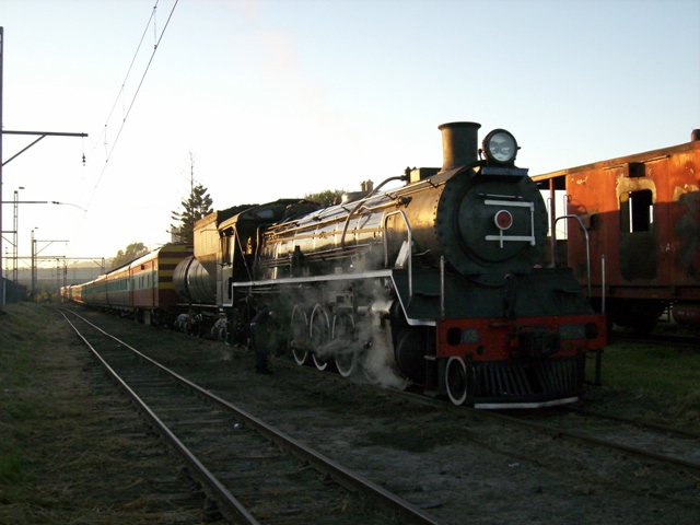 Easter Bunny train 016.jpg