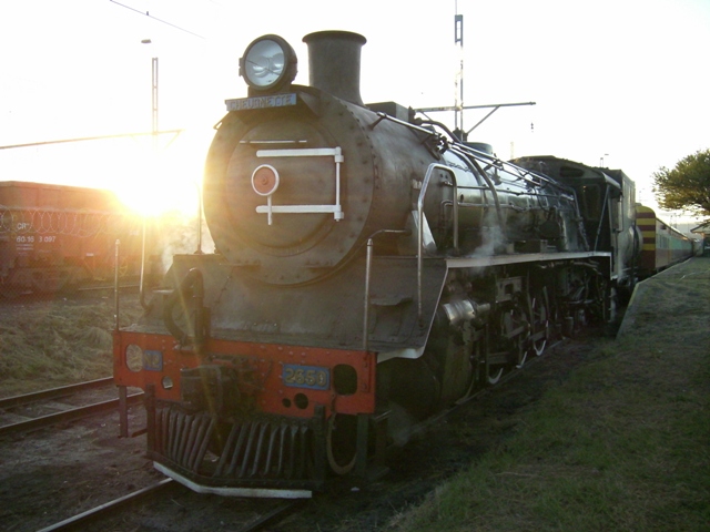 Easter Bunny train 026.jpg