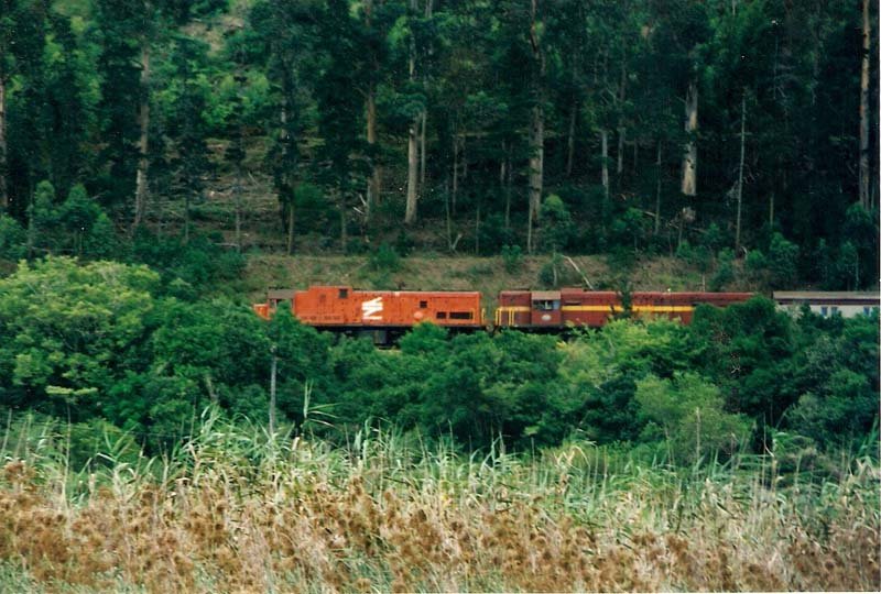 Old 32 broke down and had to be towed back to George with the Choe Choe by a Class 35. Just entering Sedgefield from the Knysna side