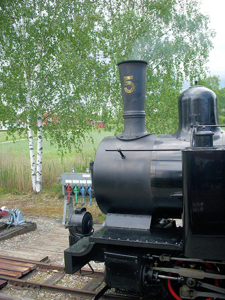 Goran Enqvist May 2009