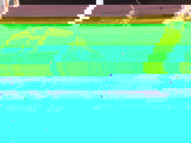 5E1 1123 Barend Botha 2009