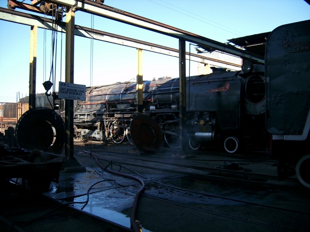 Reefsteamers 25 07 021.jpg