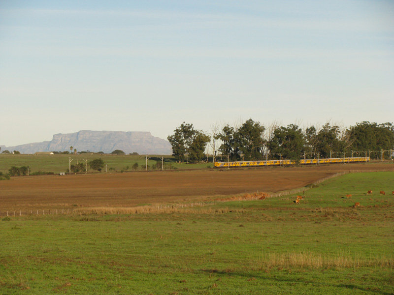 Metro near Muldersvlei with wildlife