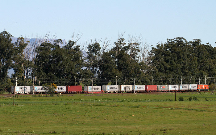 IMG9808_short_container.jpg