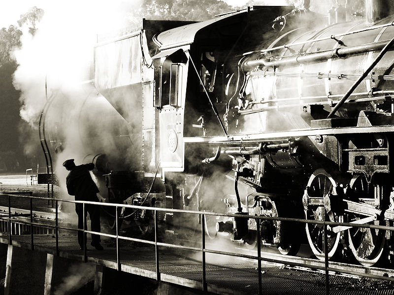 K R Wilson-Smith 2009