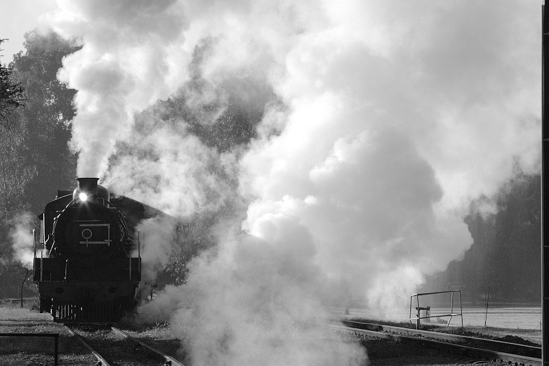 K R Wilson-Smith 2009