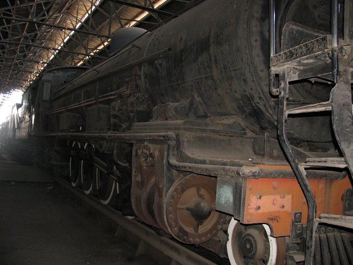 Rusty Rosie