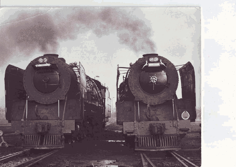 Photo by Nathan Berelowitz