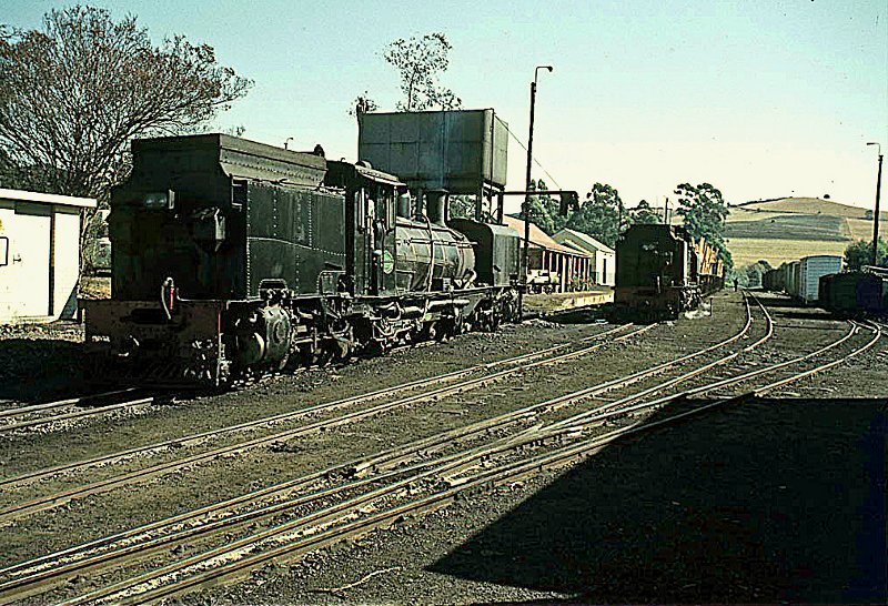NGG 16, 140 + 127, Highflats, May 1977.jpg