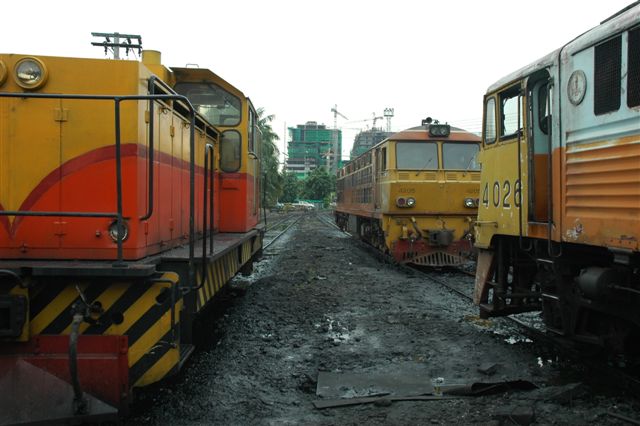 Photo by Nathan Berelowitz