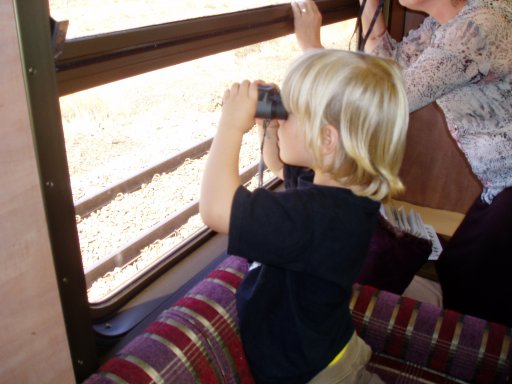 Watching springbok from the lounge<br /><br />Photo by John Ashworth 02/11/07