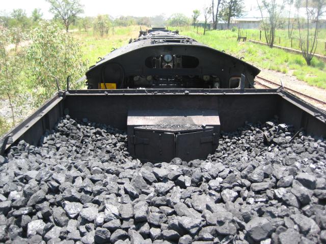 3117 from the tender