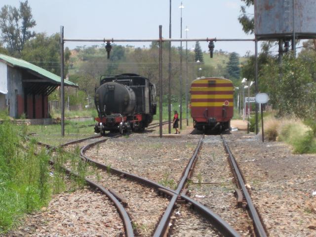 Photo by John Ashworth 28 Nov 2009