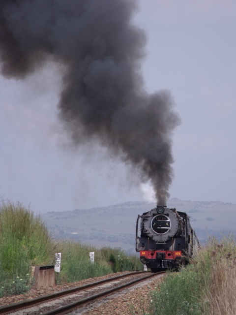 Reefsteamers 2010 004.jpg